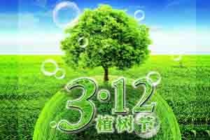 【节日】又是一年植树节！