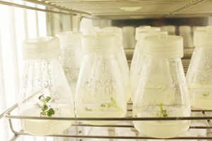 【正海新知】微生物实验室的布局和运行