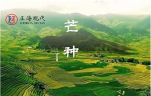 【节气】今日芒种 ，一个生猛的节气到了！保重身体别生病！